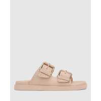 Read Wittner Reviews